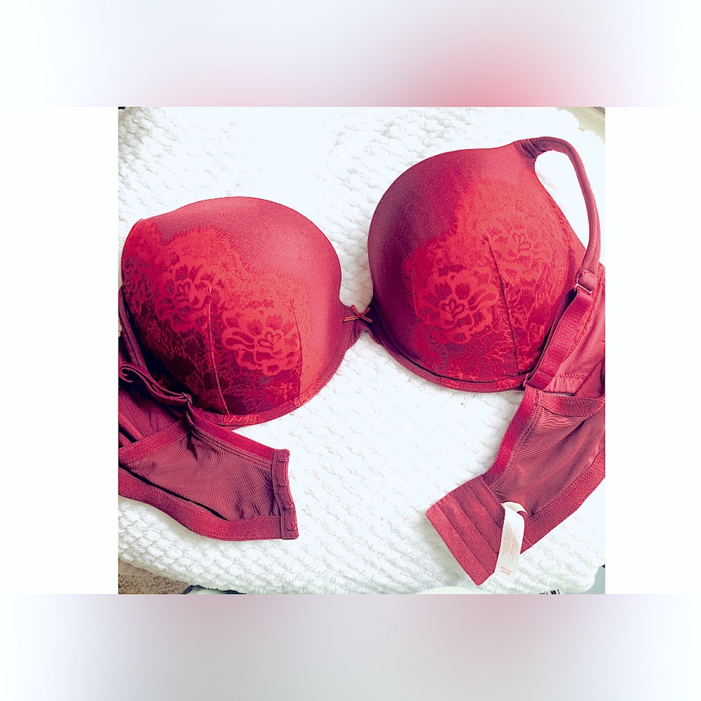 Lane Bryant Bra